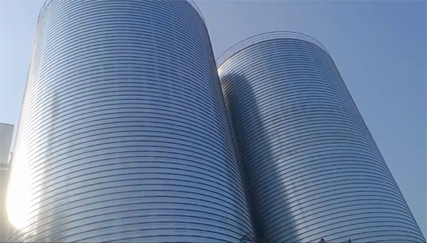 金沙2座混凝土高架卷板仓